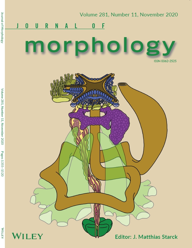 coverJM