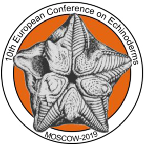 003 echin conf